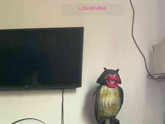 Missbellerina webcam