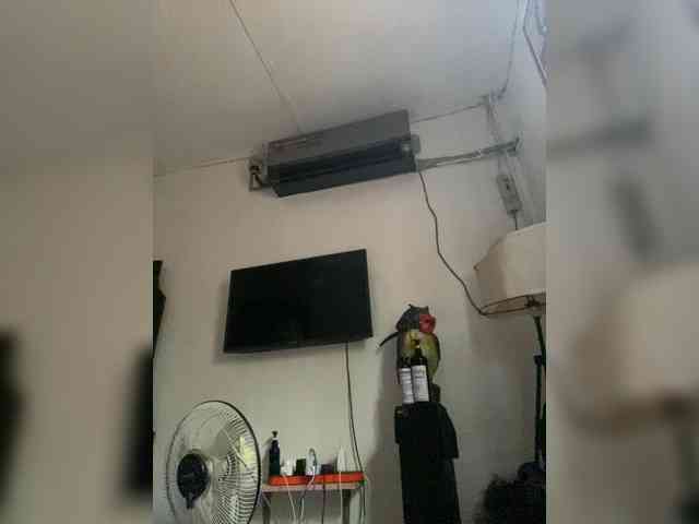 Missbellerina webcam