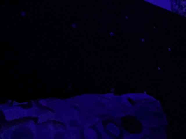 Missbellerina webcam