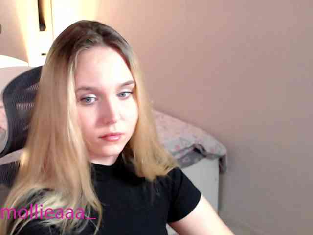 Mollyea webcam