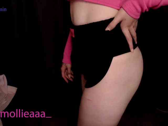 Mollyea webcam