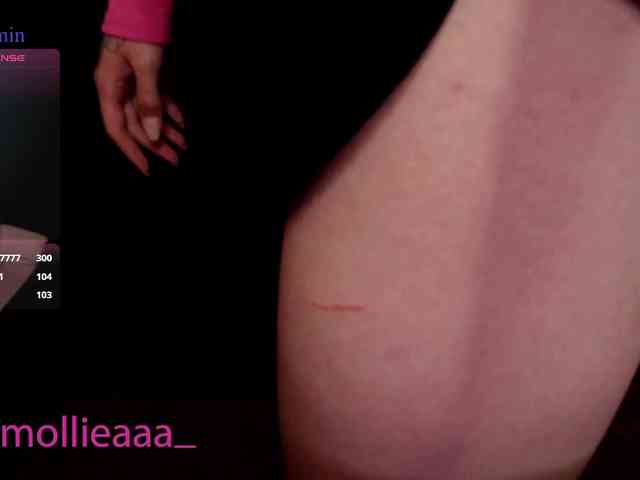 Molliea webcam