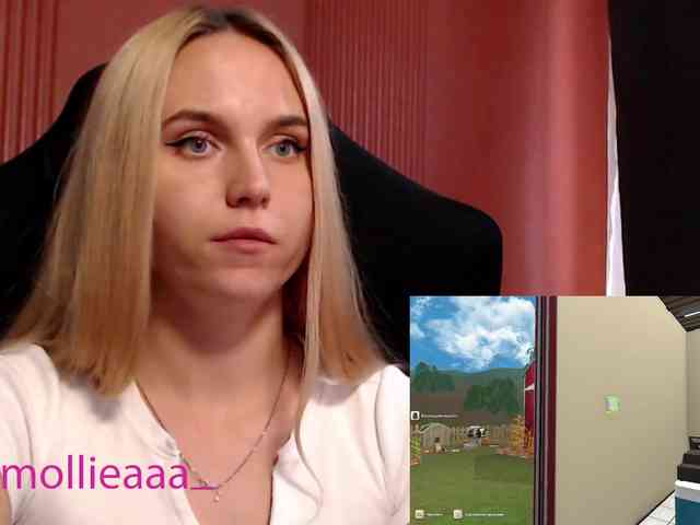 Molliea webcam