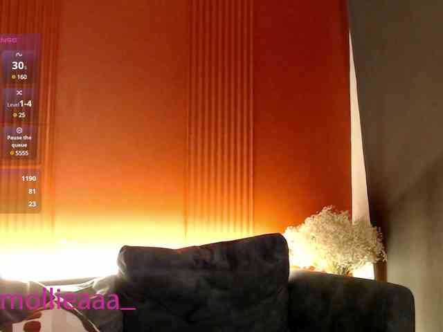 Molliea webcam