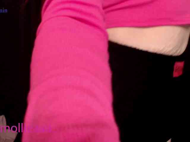 Molliea webcam