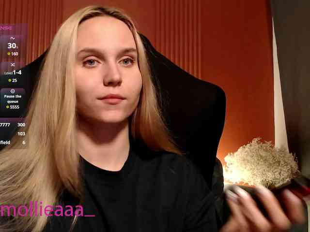 Molliea webcam