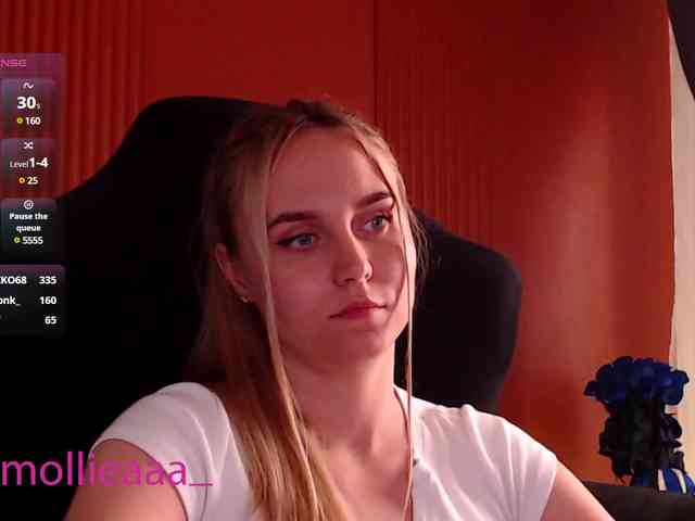 Molliea webcam