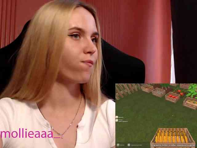 Molliea webcam