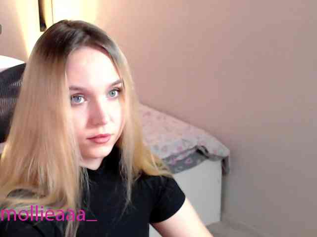 Mollyea webcam