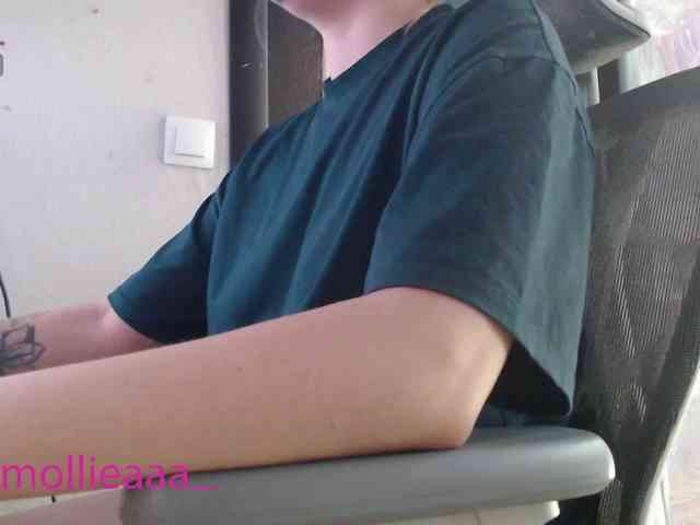 Mollyea webcam