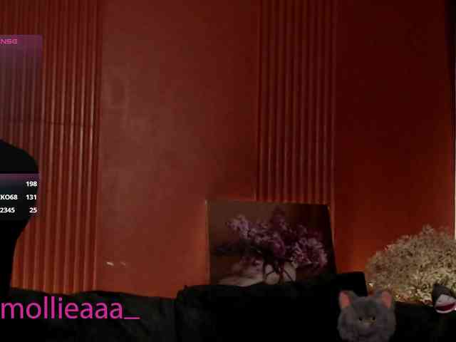 Molliea webcam