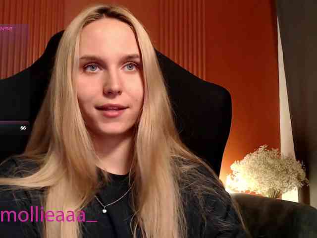 Molliea webcam