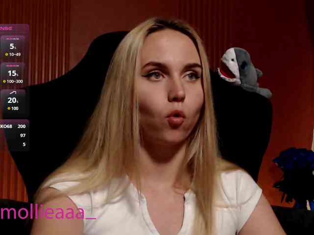 Molliea webcam