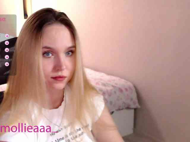 Mollyea webcam
