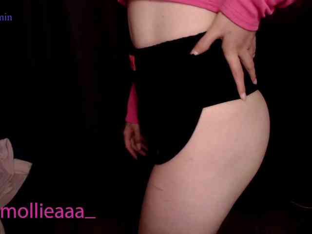 Molliea webcam