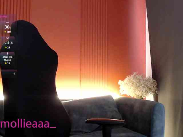 Molliea webcam