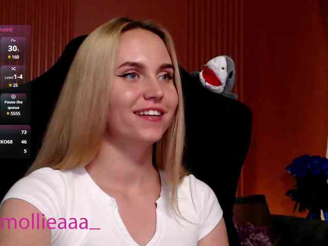 Molliea webcam