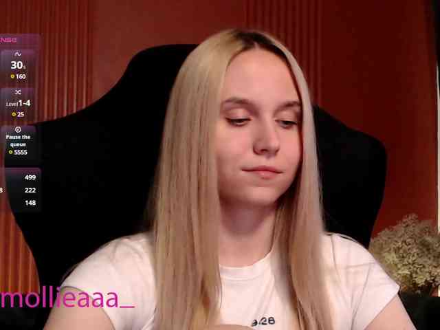 Molliea webcam