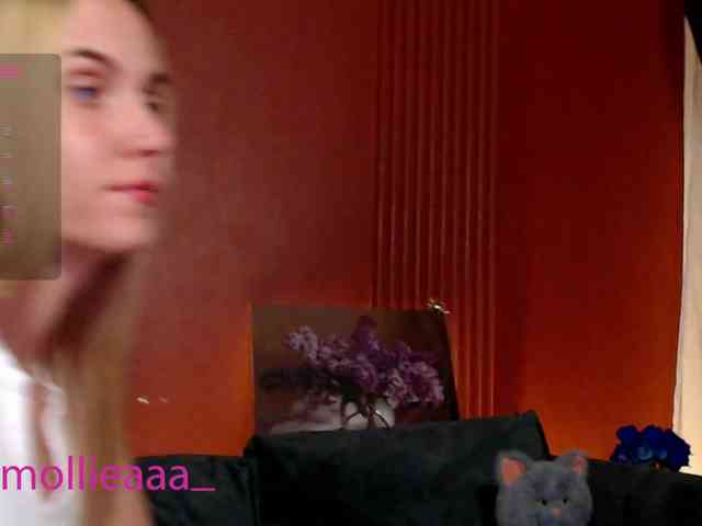 Molliea webcam