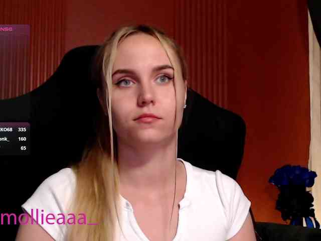 Molliea webcam