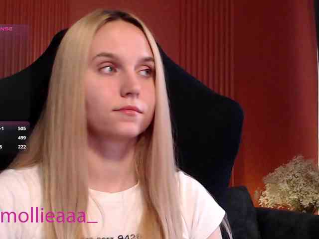 Molliea webcam