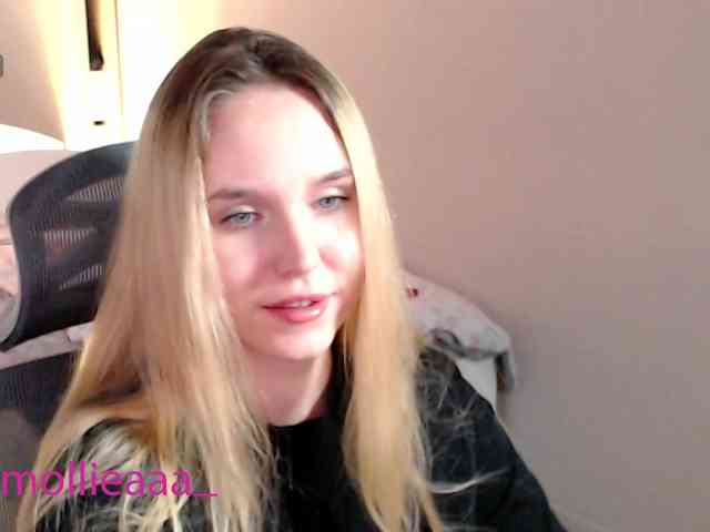 Mollyea webcam