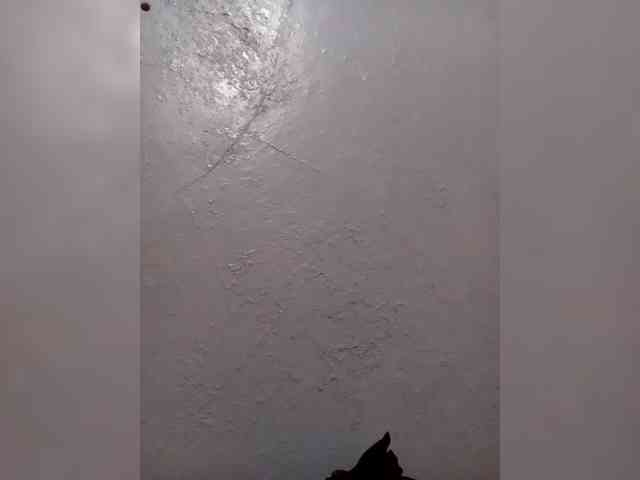 Ascar243 webcam