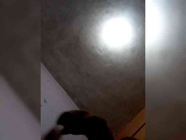 Ascar243 webcam
