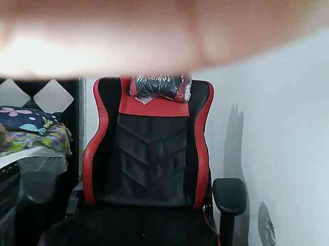 Miasilva webcam