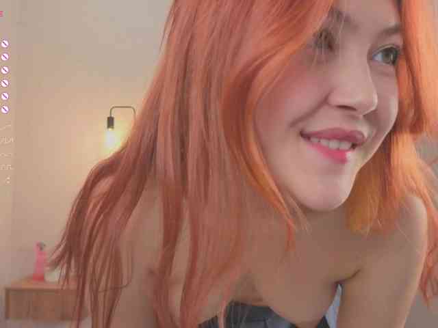 French-Eyes webcam