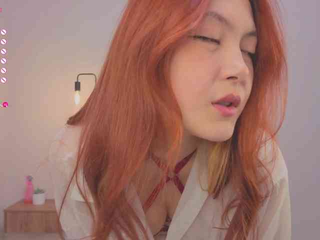 French-Eyes webcam