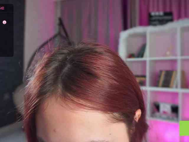 French-Eyes webcam