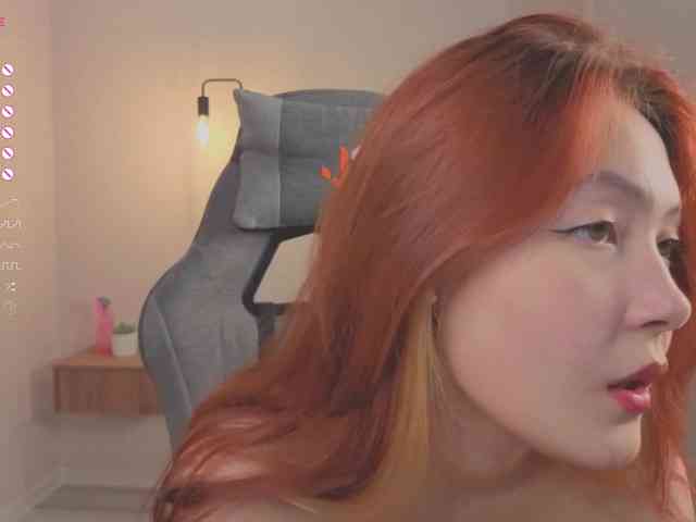 French-Eyes webcam