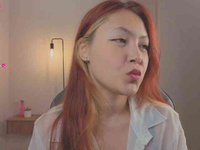 French-Eyes webcam