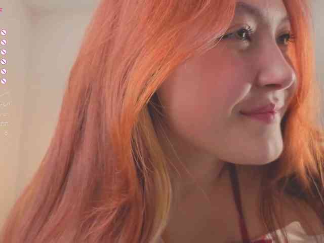 French-Eyes webcam