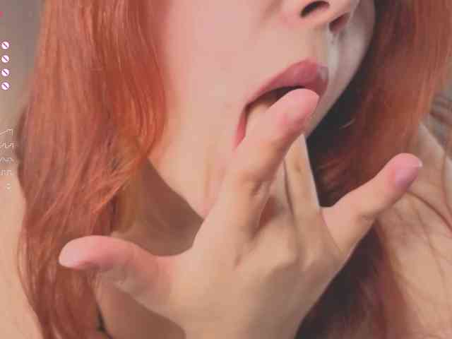French-Eyes webcam