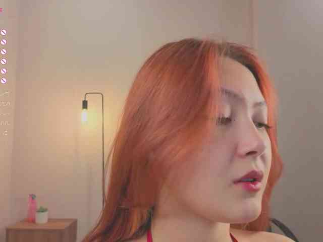 French-Eyes webcam