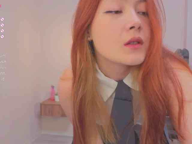 French-Eyes webcam