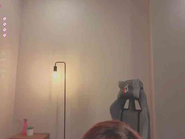 French-Eyes webcam