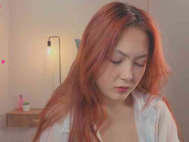 French-Eyes webcam
