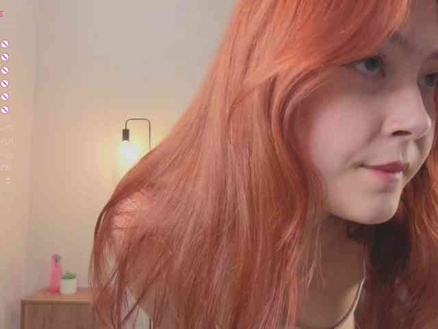 French-Eyes webcam