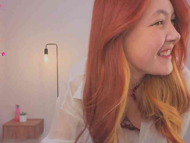 French-Eyes webcam