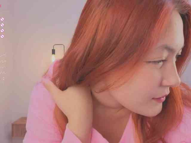 French-Eyes webcam
