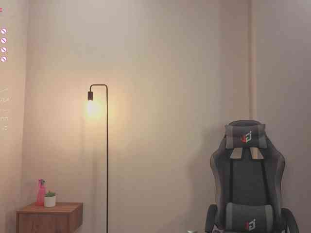 French-Eyes webcam