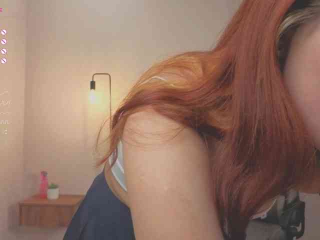 French-Eyes webcam