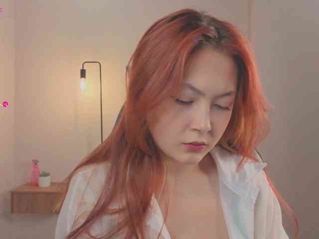 French-Eyes webcam