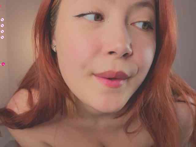 French-Eyes webcam