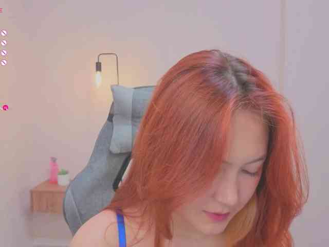 French-Eyes webcam