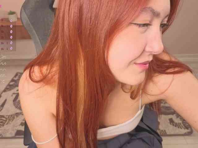 French-Eyes webcam