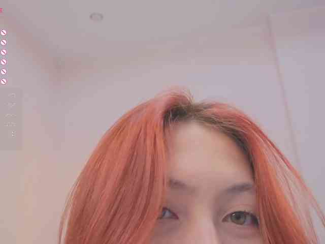 French-Eyes webcam